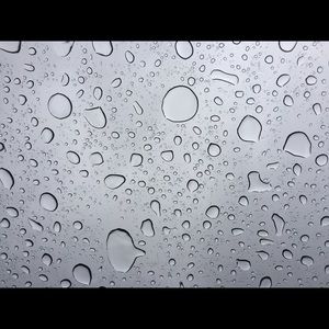 Meet your Posher, Katelyn